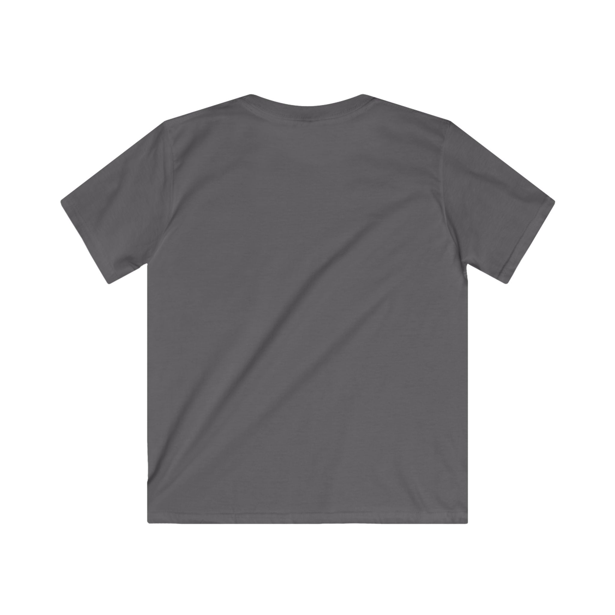 Kids Dinosaur Tee — Cute 'RAWR!' Cartoon Dino Shirt for Toddlers & Preschoolers
