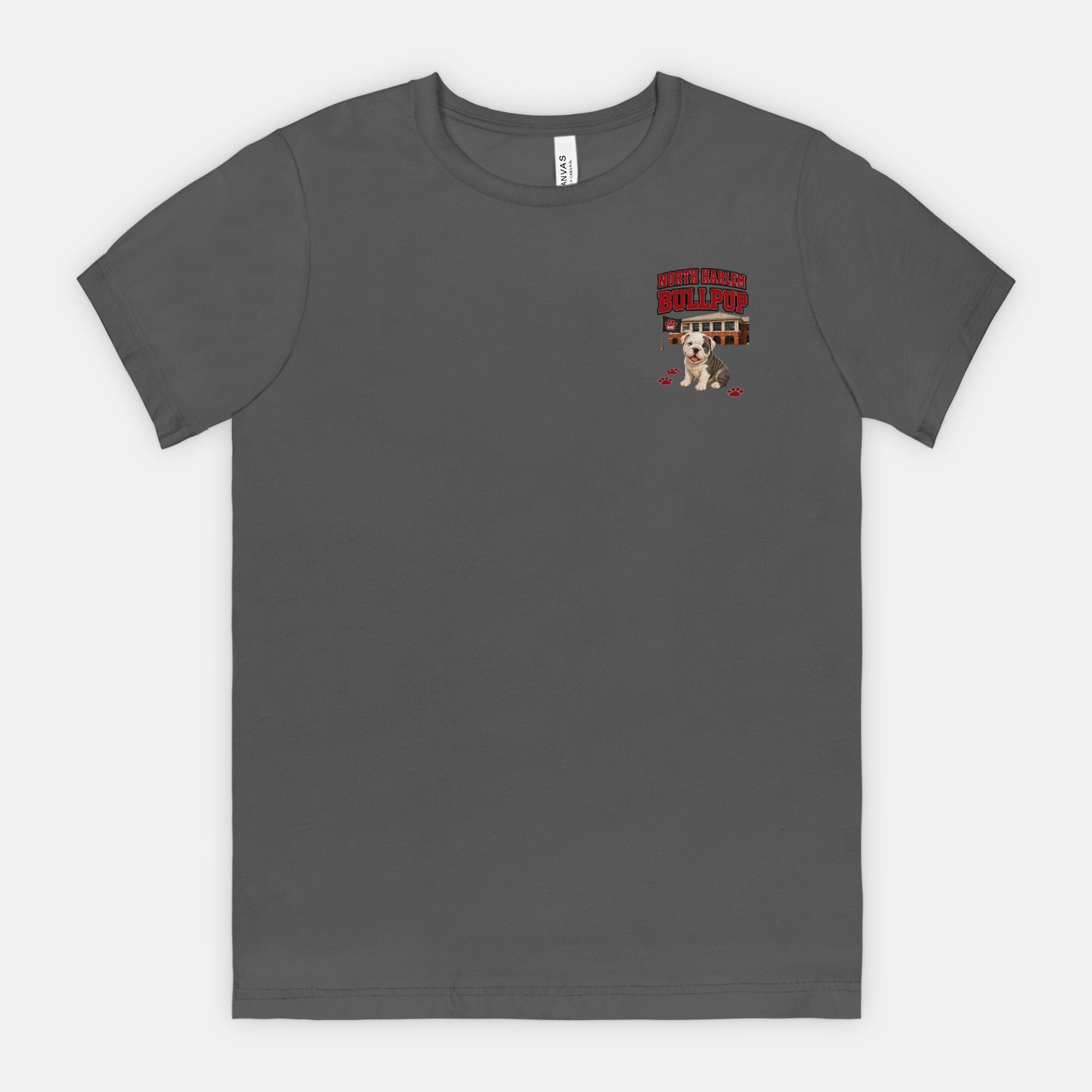 Bella Canvas Unisex Tee 3001 (DTG)