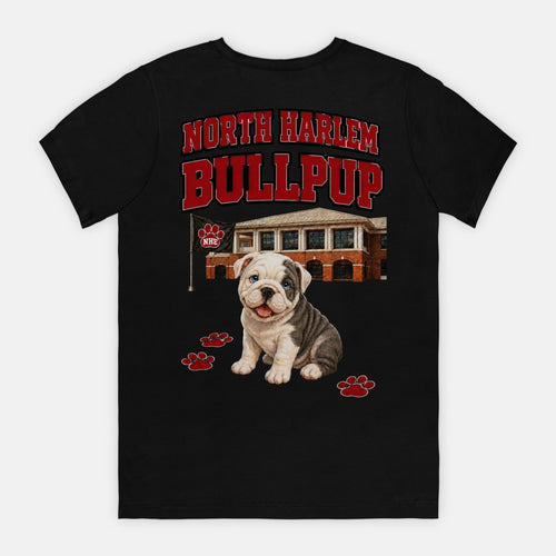 Bella Canvas Unisex Tee 3001 (DTG)