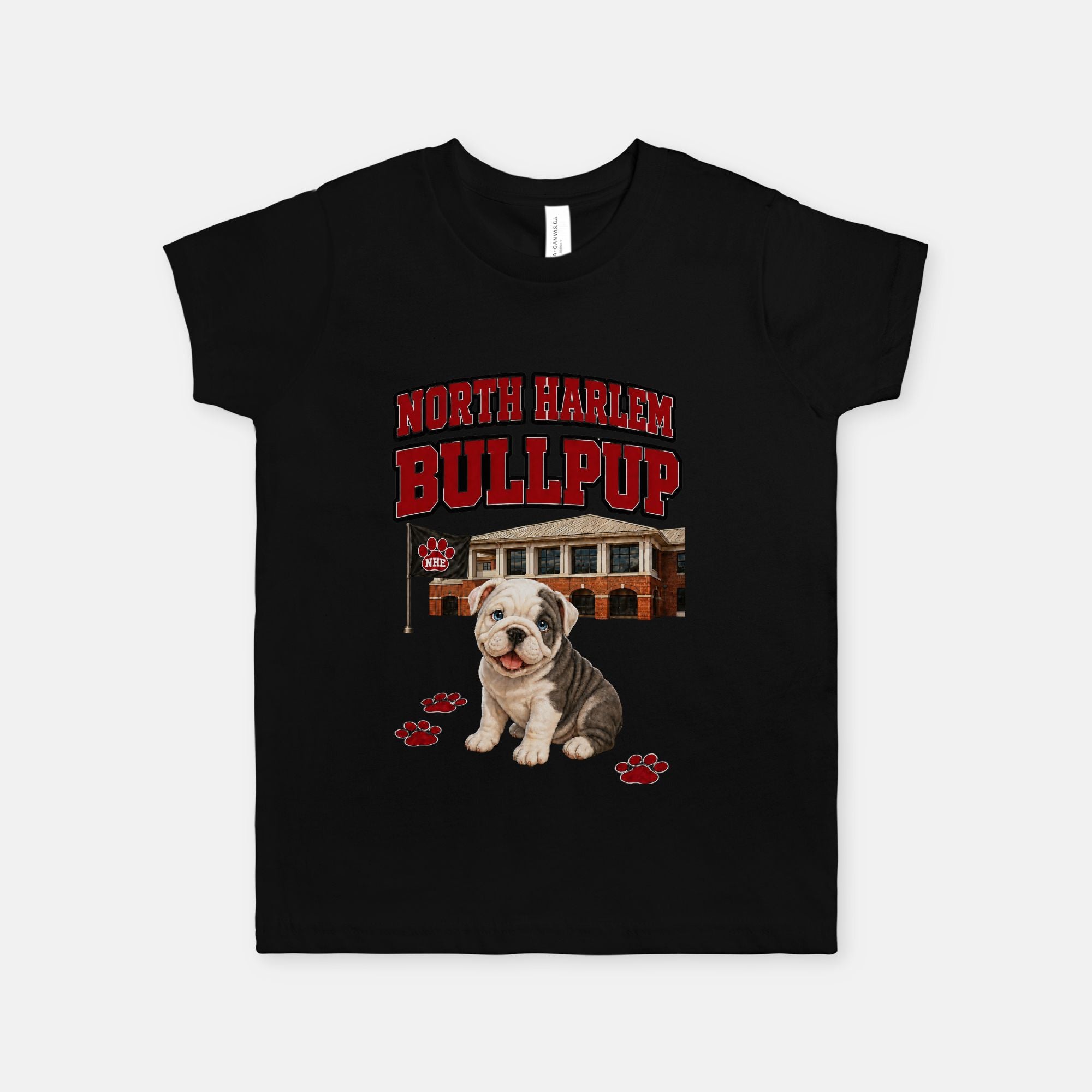 Bella Canvas Youth Unisex Jersey Tee 3001Y (DTF)