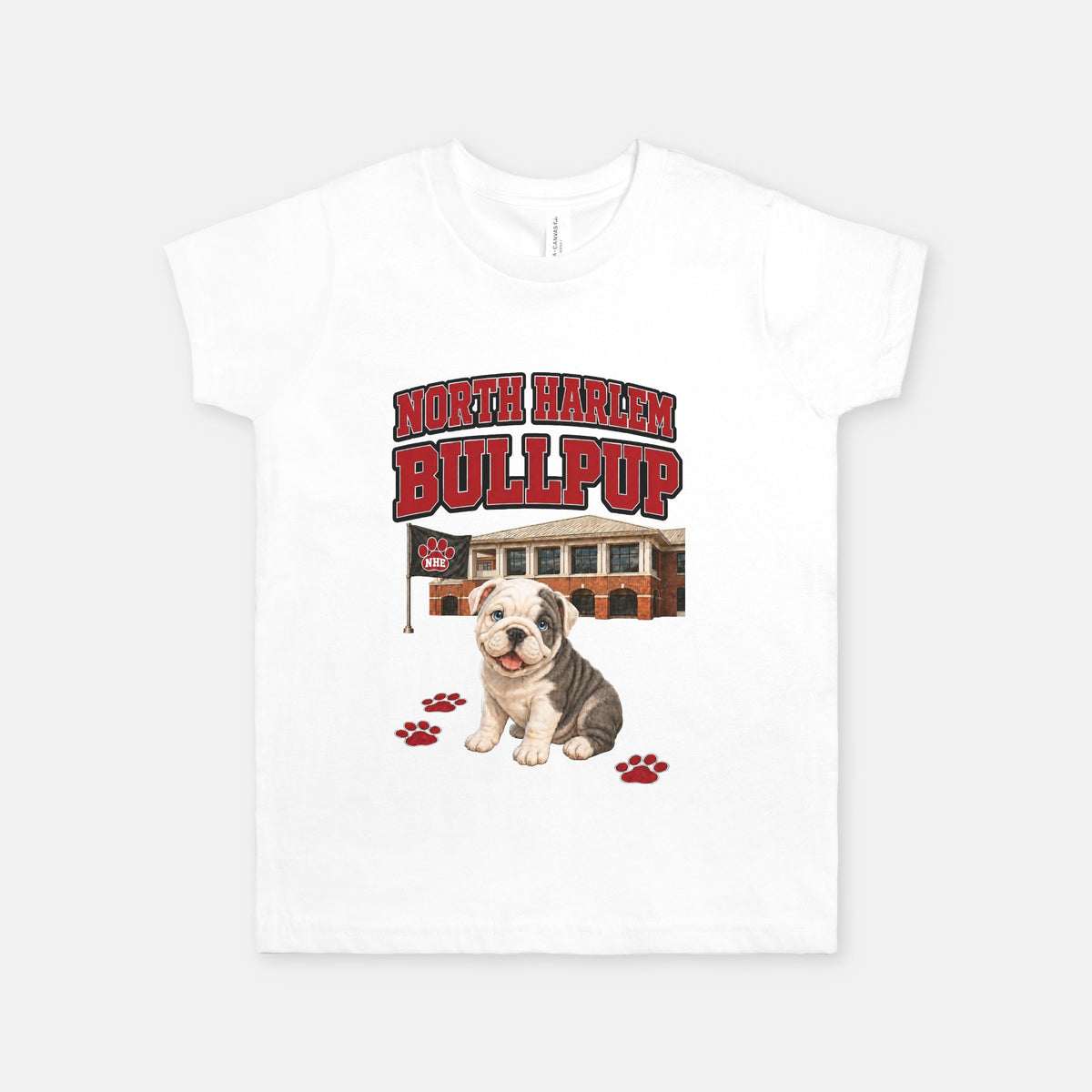 Bella Canvas Youth Unisex Jersey Tee 3001Y (DTF)